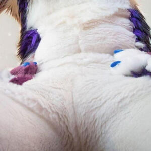Fursuit Crotches TrippWahDog