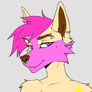 wolfy_sunset