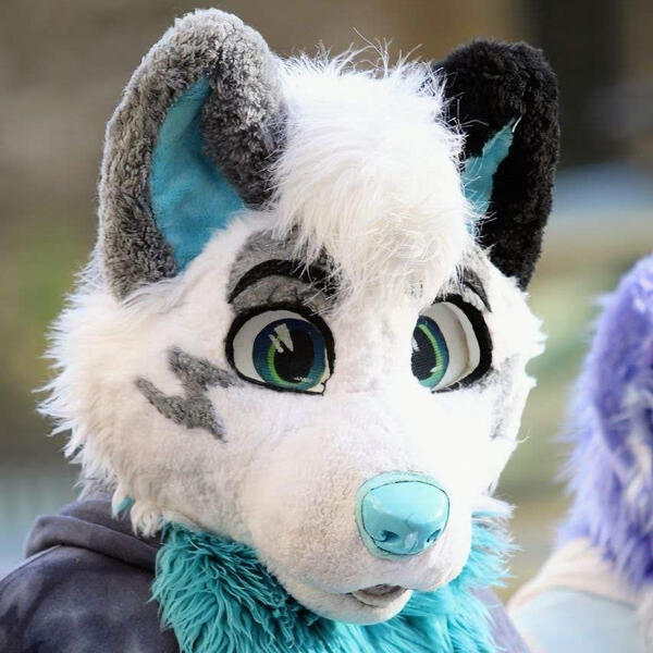 AlanDragonWolf, one of the furries that had a big importance and impact on Furry Belly Hub.