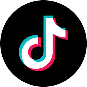 TikTok Logo