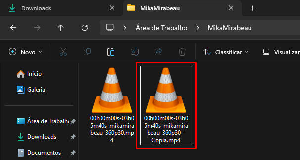 Copy of Downloaded VODs