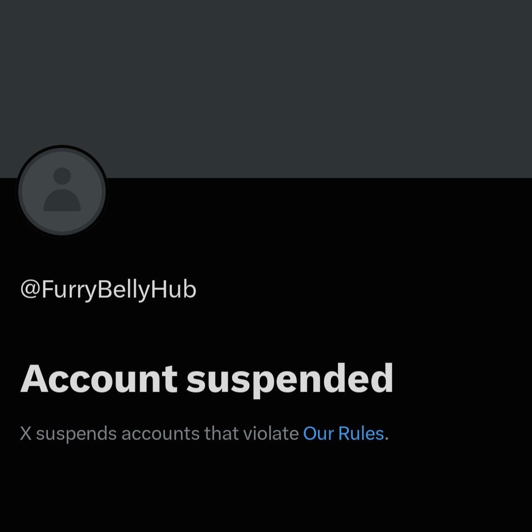 @FurryBellyHub's Twitter Account Suspension