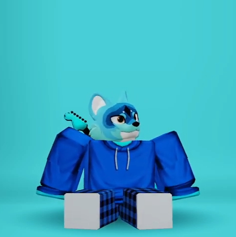 Nibbles - Test Pose Video 1